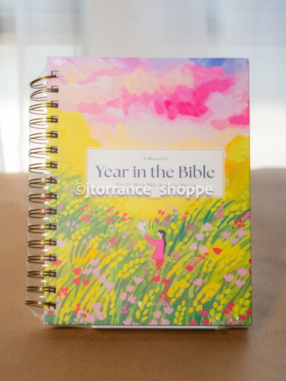 Beautiful Year in the Bible 52-Week Bible Study for Women by Alabaster Spiral
